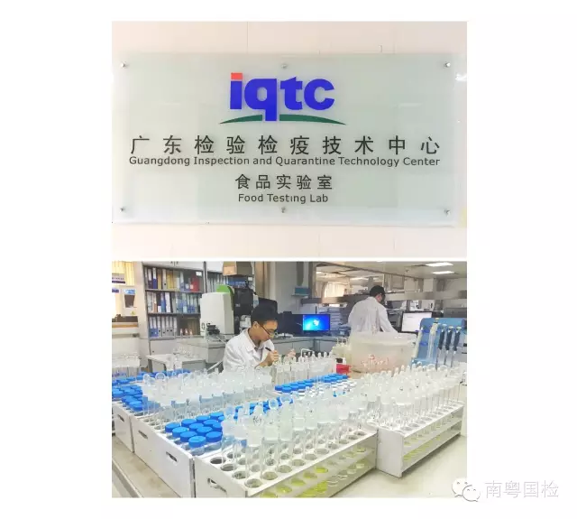 广东检验检疫技术中心十岁啦！ 