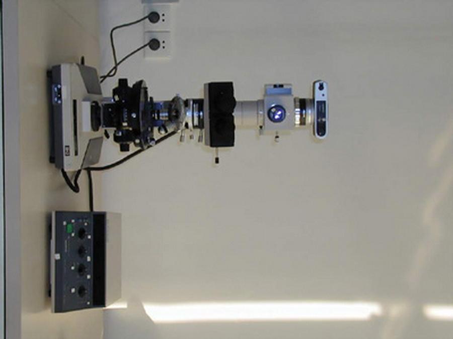 高分子学科 