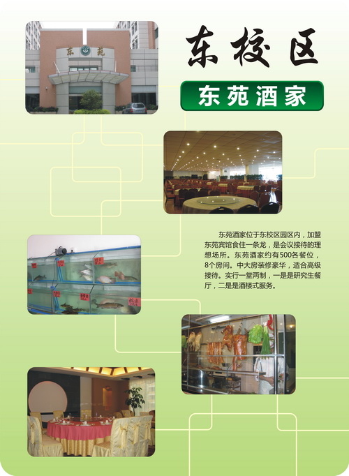 食堂